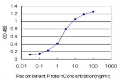 ELISA: RIPK2 Antibody (7F5) [H00008767-M05] - Detection limit for recombinant GST tagged RIPK2 is approximately 0.1ng/ml as a capture antibody.