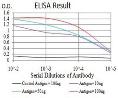 ELISA: RIPK4 Antibody (1F7D9) [NBP2-61860] - Black line: Control Antigen (100 ng);Purple line: Antigen (10ng); Blue line: Antigen (50 ng); Red line:Antigen (100 ng)