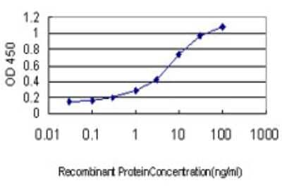 Sandwich ELISA: RNF125 Antibody (1A5) [H00054941-M01] - Detection limit for recombinant GST tagged RNF125 is approximately 0.03ng/ml as a capture antibody.