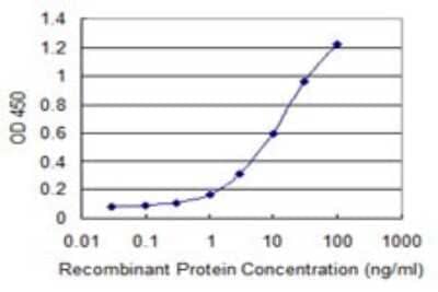 Sandwich ELISA: RNF133 Antibody (3D6) [H00168433-M01] - Detection limit for recombinant GST tagged RNF133 is 0.1 ng/ml as a capture antibody.