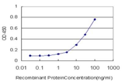 Sandwich ELISA: RNF17 Antibody (1E3) [H00056163-M01] - Detection limit for recombinant GST tagged RNF17 is approximately 1ng/ml as a capture antibody.