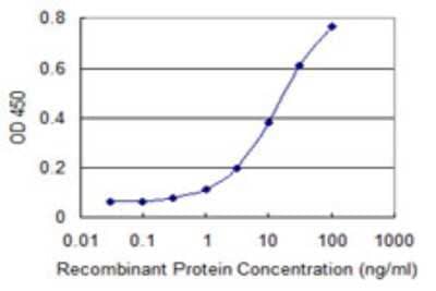 Sandwich ELISA RNF175 Antibody (4E9) - Azide and BSA Free