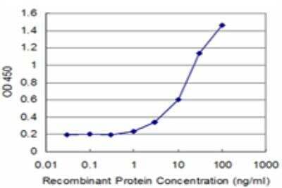 ELISA: RNF2 Antibody (2B6) [H00006045-M05] - Detection limit for recombinant GST tagged RNF2 is approximately 1ng/ml as a capture antibody.