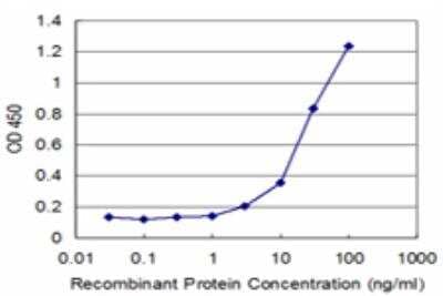 ELISA: RNF2 Antibody (3B8) [H00006045-M08] - Detection limit for recombinant GST tagged RNF2 is approximately 3ng/ml as a capture antibody.