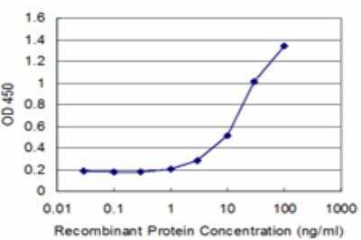 ELISA: RNF2 Antibody (3G6) [H00006045-M03] - Detection limit for recombinant GST tagged RNF2 is approximately 1ng/ml as a capture antibody.