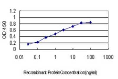 Sandwich ELISA: RNF20 Antibody (1C6) [H00056254-M01] - Detection limit for recombinant GST tagged RNF20 is approximately 0.03ng/ml as a capture antibody.