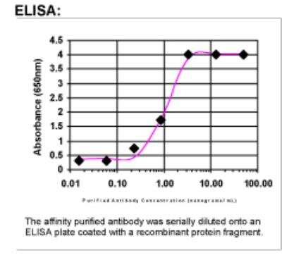 ELISA: RNF39 Antibody [27510002]