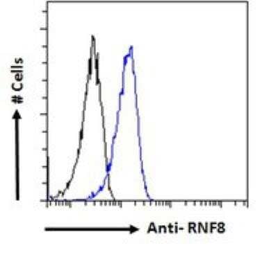 Flow Cytometry: RNF8 Antibody [NB100-1176] - Analysis of paraformaldehyde fixed HeLa cells (blue line), permeabilized with 0.5% Triton. Primary incubation 1hr (10 ug/mL) followed by Alexa Fluor 488 secondary antibody (1 ug/mL). IgG control: Unimmunized goat IgG (black line) followed by Alexa Fluor 488 secondary antibody.