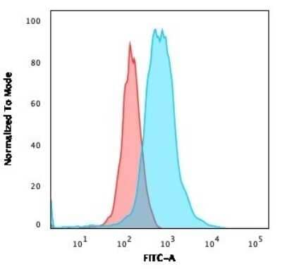 Flow Cytometry: ROR gamma/RORC/NR1F3 Antibody (RORC/2941) [NBP3-08314] - Flow Cytometric Analysis of PFA-fixed MOLT4 cells using ROR gamma/RORC/NR1F3 Mouse Monoclonal Antibody (RORC/2941) followed by goat anti- Mouse IgG-CF488 (blue); isotype control (red).