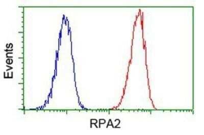 Flow Cytometry: RPA2 Antibody (OTI9A1) - Azide and BSA Free [NBP2-73935] - Analysis of Jurkat cells, using anti-RPA2 antibody, (Red), compared to a nonspecific negative control antibody (Blue).