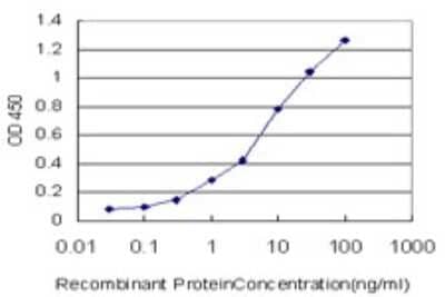 Sandwich ELISA: RPB8 Antibody (3G6-1A4) [H00005437-M01] - Detection limit for recombinant GST tagged POLR2H is approximately 0.3ng/ml as a capture antibody.