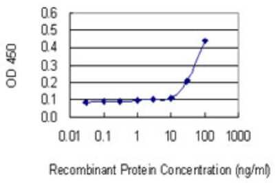 Sandwich ELISA: RPL18A Antibody (3B7) [H00006142-M02] - Detection limit for recombinant GST tagged RPL18A is 10 ng/ml as a capture antibody.