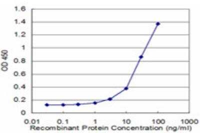 ELISA: RPL32 Antibody (1B11) [H00006161-M04] - Detection limit for recombinant GST tagged RPL32 is approximately 1ng/ml as a capture antibody.