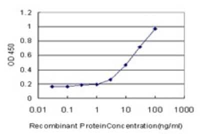 Sandwich ELISA: RPL32 Antibody (1C3) [H00006161-M01] - Detection limit for recombinant GST tagged RPL32 is approximately 0.3ng/ml as a capture antibody.