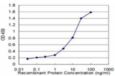 Sandwich ELISA RPL36A Antibody (5F8) - Azide and BSA Free