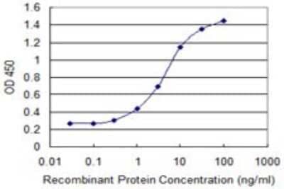 Sandwich ELISA: RPP40 Antibody (1G8) [H00010799-M03] - Detection limit for recombinant GST tagged RPP40 is 0.1 ng/ml as a capture antibody.