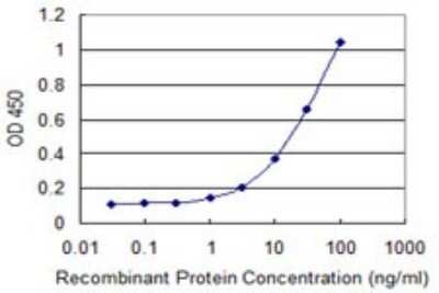 Sandwich ELISA: RPS14 Antibody (1E8) [H00006208-M07] - Detection limit for recombinant GST tagged RPS14 is 0.3 ng/ml as a capture antibody.