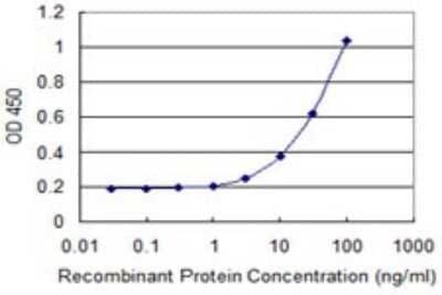 Sandwich ELISA: RPS9 Antibody (2D3) [H00006203-M03] - Detection limit for recombinant GST tagged RPS9 is 1 ng/ml as a capture antibody.