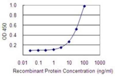 Sandwich ELISA: RRAGB Antibody (2B8) [H00010325-M01] - Detection limit for recombinant GST tagged RRAGB is 1 ng/ml as a capture antibody.