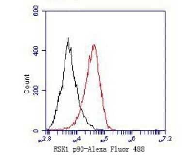 Flow Cytometry: RSK1 Antibody (JE48-76) [NBP2-80423] - Analysis of RSK1 p90 was done on F9 cells. The cells were fixed, permeabilized and stained with the primary antibody (1/50) (red). After incubation of the primary antibody at room temperature for an hour, the cells were stained with a Alexa Fluor 488-conjugated Goat anti-Rabbit IgG Secondary antibody at 1/1000 dilution for 30 minutes. Unlabeled sample was used as a control (cells without incubation with primary antibody; black).