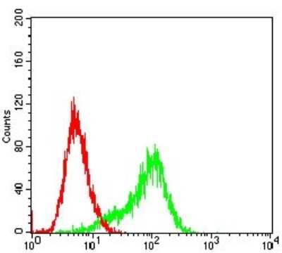 Flow Cytometry: RSK3 Antibody (3C4C8) [NBP2-52555] - Analysis of Hela cells using RPS6KA2 mouse mAb (green) and negative control (red).