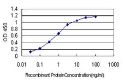 Sandwich ELISA: RSU1 Antibody (1C6) [H00006251-M01] - Detection limit for recombinant GST tagged RSU1 is approximately 0.03ng/ml as a capture antibody.