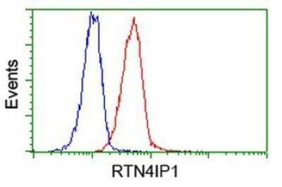Flow Cytometry: RTN4IP1 Antibody (OTI3B2) - Azide and BSA Free [NBP2-73952] - Analysis of Jurkat cells, using anti-RTN4IP1 antibody, (Red), compared to a nonspecific negative control antibody (Blue).