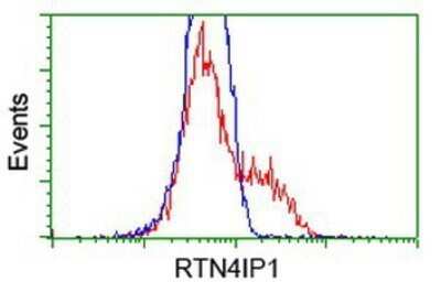 Flow Cytometry: RTN4IP1 Antibody (OTI3B2) - Azide and BSA Free [NBP2-73952] - HEK293T cells transfected with either overexpression plasmid (Red) or empty vector control plasmid (Blue) were immunostaining by anti-RTN4IP1 antibody, and then analyzed by flow cytometry.