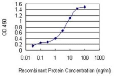 Sandwich ELISA: RTVP-1/GLIPR1 Antibody (8D9) [H00011010-M04] - Detection limit for recombinant GST tagged GLIPR1 is 0.03 ng/ml as a capture antibody.
