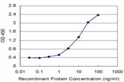 ELISA: RUVBL1 Antibody (3G4-1F8) [H00008607-M01] - Detection limit for recombinant GST tagged RUVBL1 is approximately 0.3ng/ml as a capture antibody.