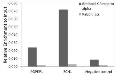 Chromatin Immunoprecipitation: RXR alpha/NR2B1 Antibody (6Y10M1) [NBP3-15667] - Chromatin immunoprecipitation analysis of extracts of HepG2 cells, using RXR alpha/NR2B1 antibody (NBP3-15667) and rabbit IgG.The amount of immunoprecipitated DNA was checked by quantitative PCR. Histogram was constructed by the ratios of the immunoprecipitated DNA to the input.