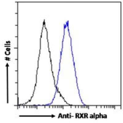 Flow Cytometry: RXR alpha/NR2B1 Antibody [NB100-1466] - Flow cytometric analysis of paraformaldehyde fixed MCF7 cells (blue line), permeabilized with 0.5% Triton. Primary incubation 1hr (10 ug/mL) followed by Alexa Fluor 488 secondary antibody (1 ug/mL). IgG control: Unimmunized goat IgG (black line) followed by Alexa Fluor 488 secondary antibody.