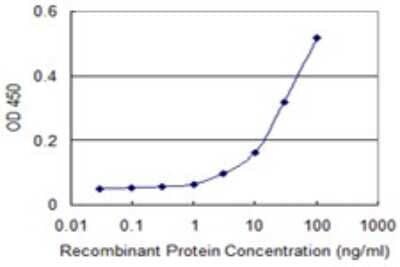 Sandwich ELISA: RXR beta/NR2B2 Antibody (2E6) [H00006257-M10] - Detection limit for recombinant GST tagged RXRB is 1 ng/ml as a capture antibody.