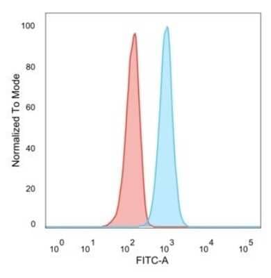 Flow Cytometry: RXR beta/NR2B2 Antibody (PCRP-RXRB-2B6) [NBP3-08445] - Flow Cytometric Analysis of PFA-fixed U87 cells. RXR beta/NR2B2 Mouse Monoclonal Antibody (PCRP-RXRB-2B6) followed by goat anti- Mouse IgG-CF488 (blue); unstained cells (red).
