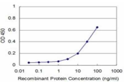 Sandwich ELISA: Rab17 Antibody (2A10) [H00064284-M01] - Detection limit for recombinant GST tagged RAB17 is approximately 3ng/ml as a capture antibody.