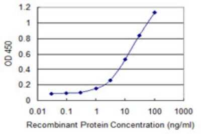 Sandwich ELISA: Rab3C Antibody (1H4) [H00115827-M07] - Detection limit for recombinant GST tagged RAB3C is 0.3 ng/ml as a capture antibody.