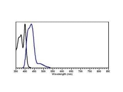 Fluorophore-linked immunosorbent assay: Rabbit anti-Goat IgG (H+L) Secondary Antibody [NBP1-72707] - Image using the DyLight 405 format of this antibody.