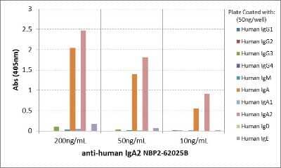 ELISA: IgA2 Antibody (RM125) [Biotin] [NBP2-62025B] - ELISA of human immunoglobulins shows NBP2-62025B reacts only to Human IgA2. No cross reactivity with Human IgA1, IgG, IgM, IgD, or IgE. The plate was coated with different immunoglobulins. NBP2-62025B was used as the primary antibody. An alkaline phosphatase conjugated Anti-Rabbit IgG was used as the secondary antibody.