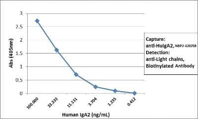 ELISA: IgA2 Antibody (RM125) [Biotin] [NBP2-62025B] - Sandwich ELISA using RM125 as the capture antibody (100 ng/well), and Biotinylated anti-human light chains (kappa + lambda) antibody NBP2-62025B as the detection antibody, followed by an alkaline phosphatase conjugated streptavidin.