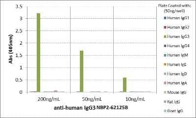 ELISA: IgG3 Antibody (RM119) [Biotin] [NBP2-62125B] - ELISA of human immunoglobulins shows NBP2-62125B only reacts to human IgG3. No cross reactivity with other human immunoglobulins, mouse, rat, or goat IgG.