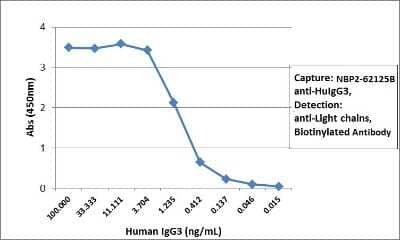 ELISA: IgG3 Antibody (RM119) [Biotin] [NBP2-62125B] - Sandwich ELISA using NBP2-62125B as the capture antibody (100 ng/well), and biotinylated anti-human light chains (kappa + lambda) antibody as the detection antibody, followed by an HRP conjugated streptavidin.