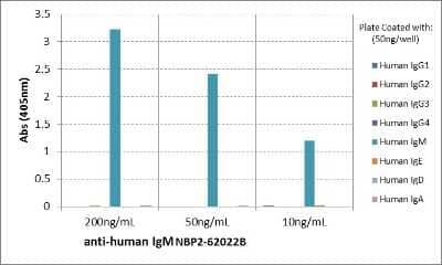 ELISA: IgM Antibody (RM121) [Biotin] [NBP2-62022B] - ELISA of human immunoglobulins shows NBP2-62022B reacts only to human IgM. No cross reactivity with Human IgG, IgE, IgD, or IgA. The plate was coated with different immunoglobulins. NBP2-62022B was used as the primary antibody. An alkaline phosphatase conjugated anti-rabbit IgG as the secondary antibody.