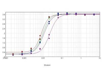 ELISA: Rabbit anti-Mouse IgG (H+L) Secondary Antibody [Biotin] (Pre-adsorbed) [NB120-7074] - ELISA results of purified Rabbit anti-Mouse IgG (H+L) Secondary Antibody [Biotin] (Pre-adsorbed) tested against purified Mouse IgG. Each well was coated in duplicate with 1.0 ug of Mouse IgG (blue line). The starting dilution of antibody was 5ug/ml and the X-axis represents the Log10 of a 3-fold dilution. This titration is a 4-parameter curve fit where the IC50 is defined as the titer of the antibody. Assay performed using blocking buffer, Streptavidin HRP, and TMB substrate.