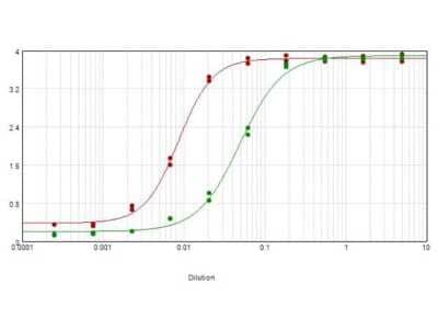 ELISA: Rabbit anti-Sheep IgG (H+L) Secondary Antibody [Biotin] (Pre-adsorbed) [NB7584] - ELISA results of purified Rabbit anti-Sheep IgG (H+L) Secondary antibody [Biotin] (Pre-adsorbed) antibody Min X human serum tested against purified Sheep IgG. Each well was coated in duplicate with 1.0 ug of sheep IgG (red line). The starting dilution of antibody was 5ug/ml and the X-axis represents the Log10 of a 3-fold dilution. This titration is a 4-parameter curve fit where the IC50 is defined as the titer of the antibody. Assay performed using Blocking buffer, Streptavidin HRP conjugate 1:10, 000, and TMB substrate.