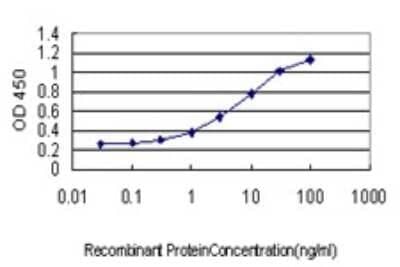 Sandwich ELISA: Rad23 Antibody (3C12) [H00005886-M01] - Detection limit for recombinant GST tagged RAD23A is approximately 0.03ng/ml as a capture antibody.