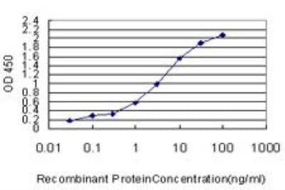 ELISA: Rad51 Antibody (2E5-E5) [H00005888-M01] - Detection limit for recombinant GST tagged RAD51 is approximately 0.03ng/ml as a capture antibody.