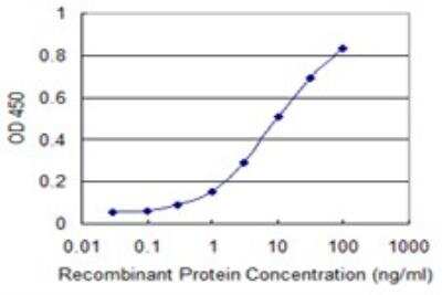 ELISA: Rad51 Antibody (4C11-B4) [H00005888-M02] - Detection limit for recombinant GST tagged RAD51 is 0.1 ng/ml as a capture antibody.