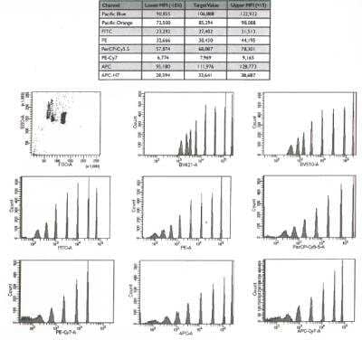 Rainbow Calibration Particle Set (8 peaks - EAL01) [NBP3-00506] - Dot Plot and histograms for NBP3-00506 on a BD Biosciences LSRFortessa(TM) X-20 using assigned target values.