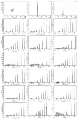 Rainbow Calibration Particle Set (8 peaks) [NBP3-00504] - Dot plot and histogram of NBP3-00504 from a BD Bioscience LSRFortessa(TM) X-20.