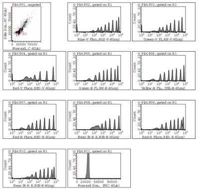 Rainbow Calibration Particle Set (8 peaks) [NBP3-00504] - Dot plot and histogram of NBP3-00504 from a Guava easyCyte 12.